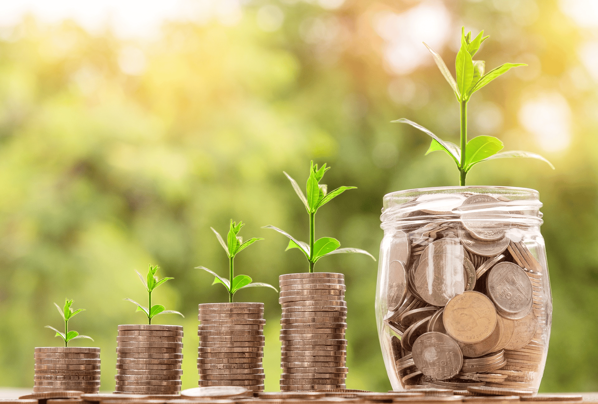 Stacked coins increasing in size with a plant on top